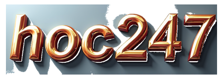 hoc247 logo